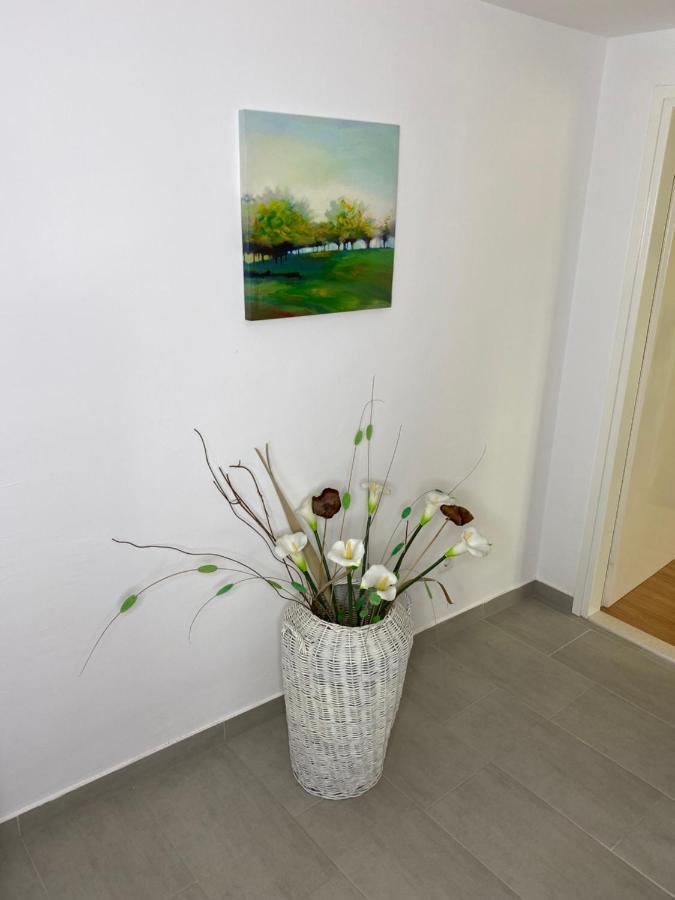 טרוגיר Apartment Carmen מראה חיצוני תמונה